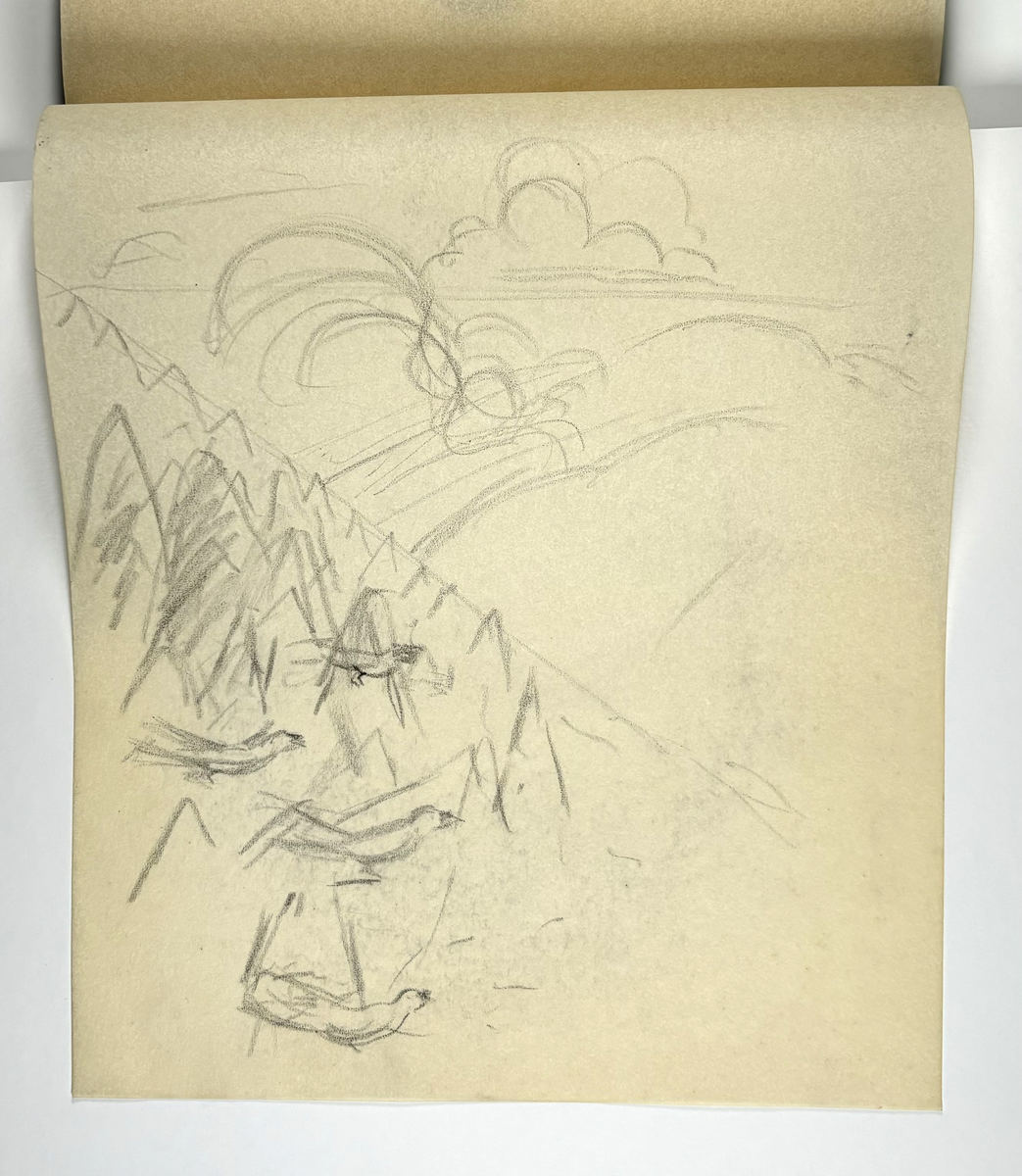 Skissebok, brun med svart rygg, liggende format, står Hans Gjesme frampå, ein del datert 1928, mykje mannsakt, mange frå Draumkvedet, katten, hest med stå, interiør.