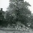 Taket till den fristående matkällaren rivet liksom skjulet vid Lilla Kyrkogatan, kvarteret Kyrkbacken 2 (och 1), Hudiksvall. I bakgrunden ett stort träd.