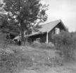 Förre skogvaktaren Oskar Lindgren följer fotografens göromål från stugans vårdträd. Framnäs hade hade tidigare haft funktion som torp under godset Grenholm men disponerades från 1938 på lösare grunder av Lindgren med hustru och dotter. Foto 1949.