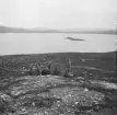 Idre, Slugufjäll. Renhjord spridd på stranden.