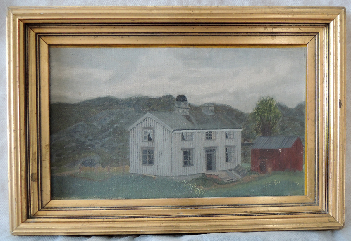 Hus med og landskap.