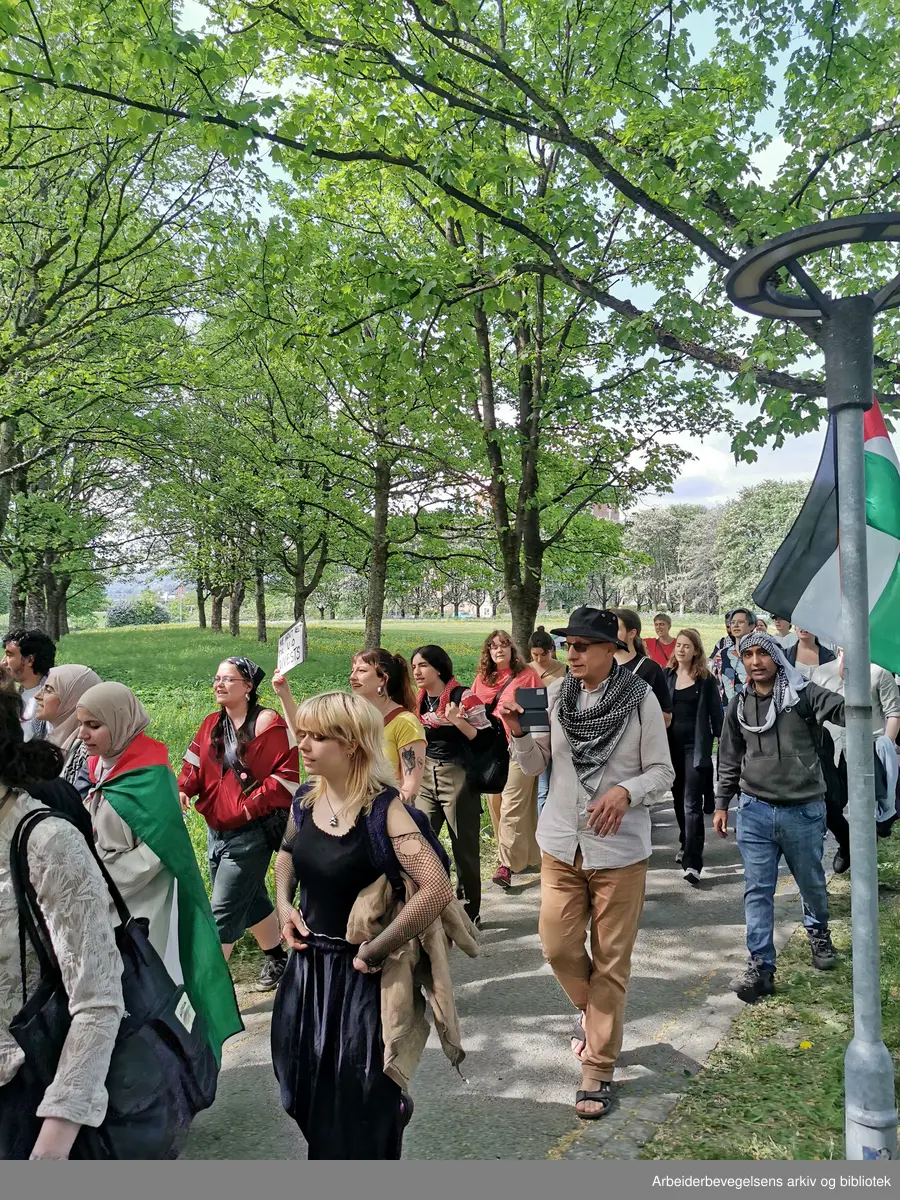 Juni 2024, Universitetet I Oslo. Studenter ønsker akademisk boikott av Israel til støtte for Palestina.