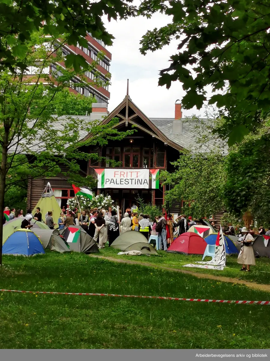 Juni 2024, Universitetet I Oslo. Studenter ønsker akademisk boikott av Israel til støtte for Palestina.