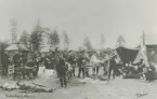 Militär sjukvård 1905. Förbandsplats ute i skogen, med soldater i uniform m/1886