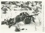 Bofors 37 mm pansarvärnskanon m/1938 i en snötäckt skog.