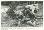 Bofors 37 mm pansarvärnskanon m/1938 i eldställning vid en landsväg.