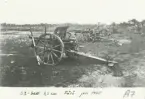 Fyra 7,5 cm kanoner m/1902 från A 7 uppställda på fält, med servisen i bakgrunden, Fårö, 1945.