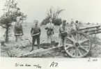 Besättningen från A 7 laddar en 7,5 cm kanon m/1940 på fält, 1951.