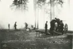 Två 12 cm kanoner m/1885 från positionsartilleriet uppställda i en skog under eldgivning.