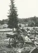 Fyra 10,5 cm haubitser uppställda på ett fält med en stor gran i bakgrunden. Servisen har rast i uniform m/1910.