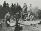 12 cm kanon m/1885 avfyras bland träd på sandig mark.