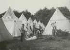 Tältläger med flera män sysselsatta med olika uppgifter utanför tält i Gottskär, 1936.