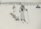 Draghundar drar en pulka med jägarutrustning över ett snötäckt fält.