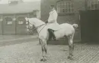 Ryttmästare Carl von Essen, Kronprinsens husarer, på vit häst utanför en stallbyggnad.