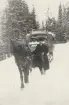 Bil från 1930-talet dras upp av en häst på en snöig skogsväg.