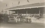 Man med häst hoppar över hinder på stadion i fälttävlan, OS i Antwerpen 1920.