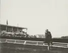 Man med häst hoppar över hinder på stadion i fälttävlan, OS i Antwerpen 1920.