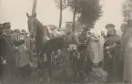 Ryttare vid sin häst, OS i Antwerpen 1920.