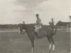 Man poserar på häst, OS i Antwerpen 1920.