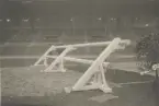 Hästhoppning vid Olympiska Spelen, Paris 1924