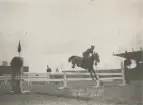 Hästhoppning vid Olympiska Spelen, Paris 1924