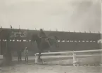 Hästhoppning vid Olympiska Spelen, Paris 1924