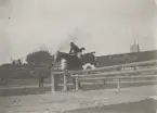 Hästhoppning vid Olympiska Spelen, Paris 1924