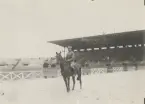 Hästhoppning vid Olympiska Spelen, Paris 1924