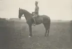 Hästhoppning vid Olympiska Spelen, Paris 1924