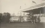 Hästhoppning vid Olympiska Spelen, Antwerpen1920.