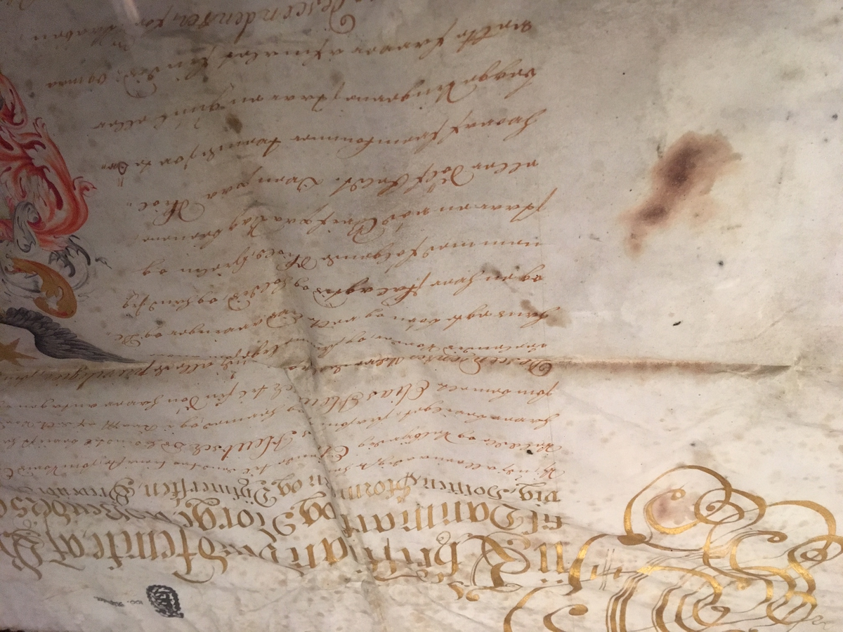 Diplom i ramme, med vokssegl i dreiet treboks, med gjenget lokk. Adelsdiplom fra år 1660 for familien Hübsch.