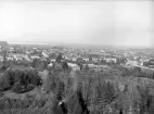 Linköpingsvy som kan tillskrivas amatörfotografen Fritz Lovén. Panorama från söder omkring 1895.