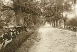 Landsvägen mot Gustafsberg, huset längre bort är Lunnebräcka