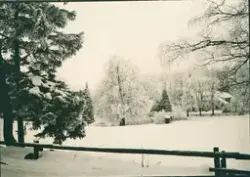 Kasens herrgård i snölandskap.