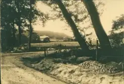 Landsväg kantad med stenmur och stängsel.

Stämplad i högre 