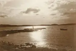 Enligt tidigare noterin: Från Bohusläns skärgård.

En kvinna