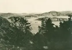 Landskapsvy.

Spämplad i högra hörnet med Maria Lundbäck Udd