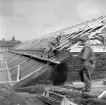 Östergötlands museum under uppförande. Efter segdragna turer kom det efterlängtade bygget igång 1937. För ritningarna stod de unga arkitekterna Nils Ahrbom och Helge Zimdal. Museet kunde invigas sommaren 1939 med närvaro av bland andra kronprins Gustaf Adolf. Bilden visar takarbete över den blivande konstavdelningen.