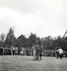 Lantbruksmötet.
Hästpremiering.  En liten flicka med häst och föl på skolgården
till Växjö Högre Allmänna Läroverk.