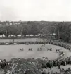 Lantbruksmötet.
Hästpremiering. Vy från läroverket ner över skolgården med pågående
hästvisning. 
I bakgrunden syns bl a Östregårdsskolan m.m. på Öster.