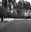 Intåg av kvinnliga gymnaster på Värendsvallen under Gymnastikens dag.