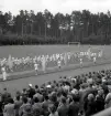 Uppställning av gymnaster på Värendsvallen under Gymnastikens dag.