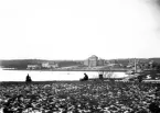 Läroverket, lasarettet och Smålands Museum sett från Staglaberget, ca 1900. Växjösjön.