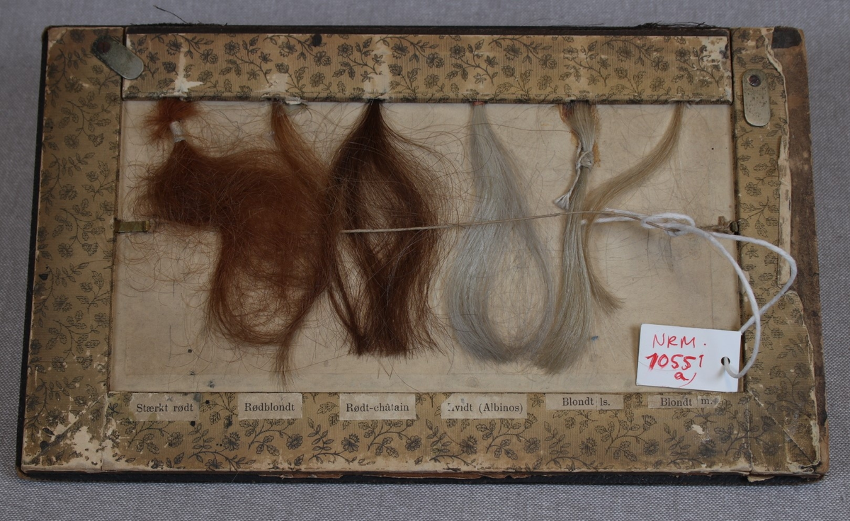 Tolv hårprøver i ulike fargenyanser festettil to rektangulære plansjer i tykk papp. En merkelapp under hver prøve viser fargens betegnelse.