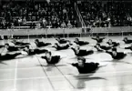 Husmodersgymnastiken firar 25-årsjubileum i oktober 1969 med gymnastikuppvisning i Sporthallen.