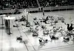 Husmodersgymnastiken firar 25-årsjubileum i oktober 1969 med gymnastikuppvisning i Sporthallen. Här är det barngymnastik.