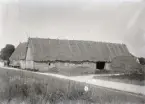 Masse har stått på backkanten och tagit denna bild av Karlssons uthus. Dessa ladugårdsbyggnader var bland de största och ålderdomligaste i socknen vid förra sekelskiftet. Den långa bulladugården med agtak var mycket välbyggd. Den innehöll två fähus med varsin hoimd, hörum, i sin vänstra del och till höger om ladportarna låg ladan, utanför vilken det ligger en väldig halmstack. Ladugårdsflygeln till vänster innehöll en mängd funktioner. Troligen håller man på och kör in hö just här, höhäcken står på vägen under luckan till loftet.

Man ser hur vägen ner till Nybro svänger ner här framför ladugården. Den gick vidare ner till grannparten, vars flygel skymtar till höger och därefter ner mot Närkån.