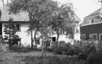 Hunnebergsgatan 12 i Linköping. Fotoåret 1929 och däromkring ägdes gården av snickeriarbetaren av Carl Edvard Johansson med familj. Som brukligt vid den här typen av hus och läge hyrde en rad personer husrum i byggnaden. Källorna talar om ett 15-tal hyresgäster inklusive barn vid tiden. Tomtens avgränsning ger sannolikt svar på var i huset ägarfamiljen bodde och i vilken del ytorna hyrdes ut. Vy från gårdssidan 1929.