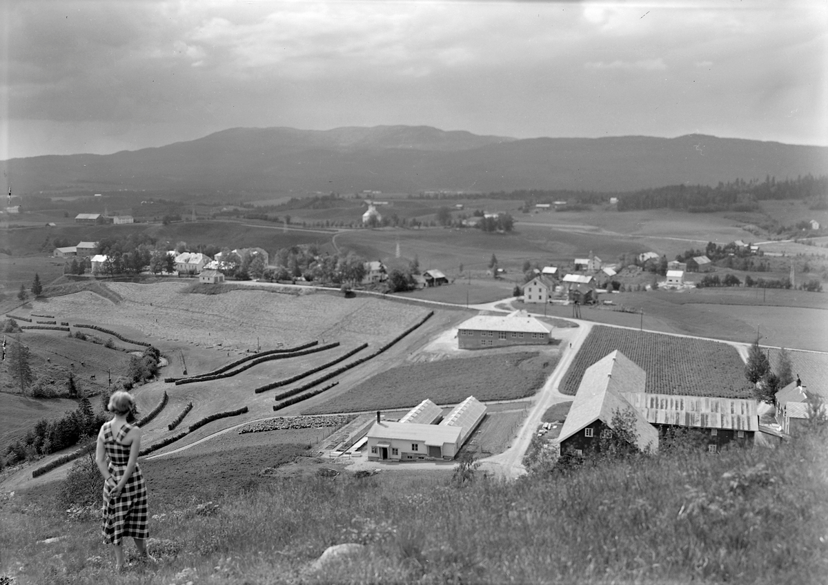 Klæbu, landskap