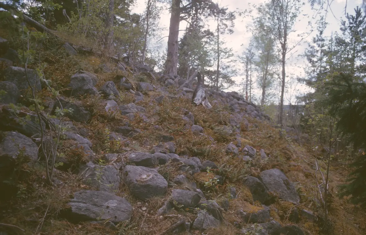 Runsa fornborg -Stockholms läns museum / DigitaltMuseum